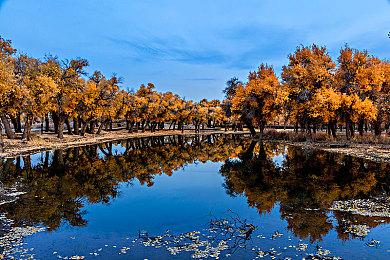 《女神异闻录6》或是半开放世界 社交链接更灵活